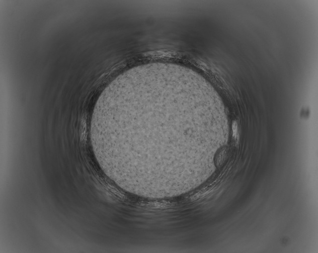 X0000097001203200803071109