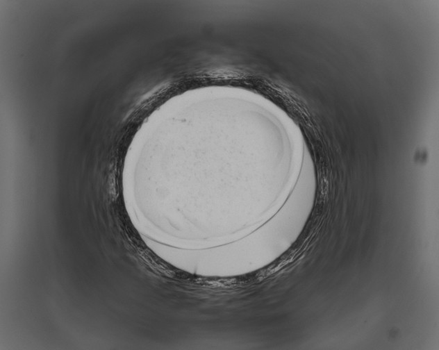 X0000097001205200803071109