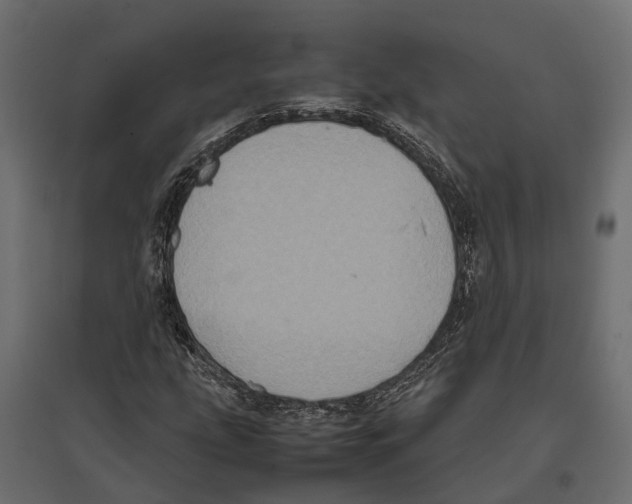 X0000097001207200803071109