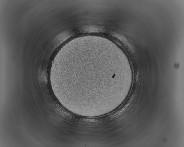 X0000097001209200803071109