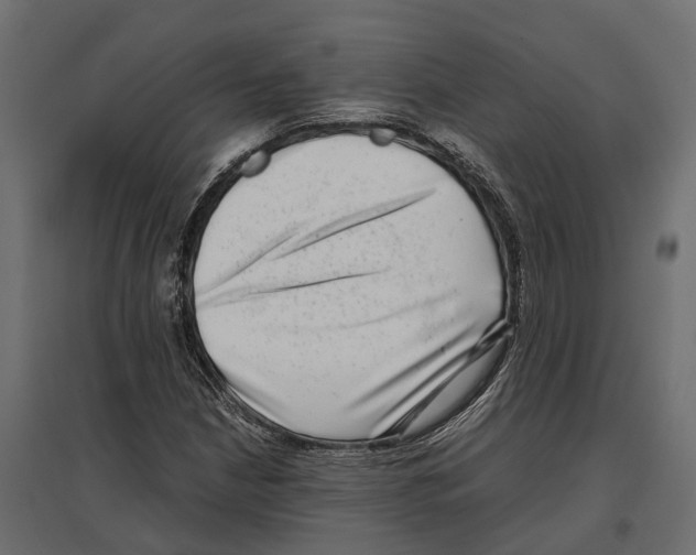 X0000097001210200803071109