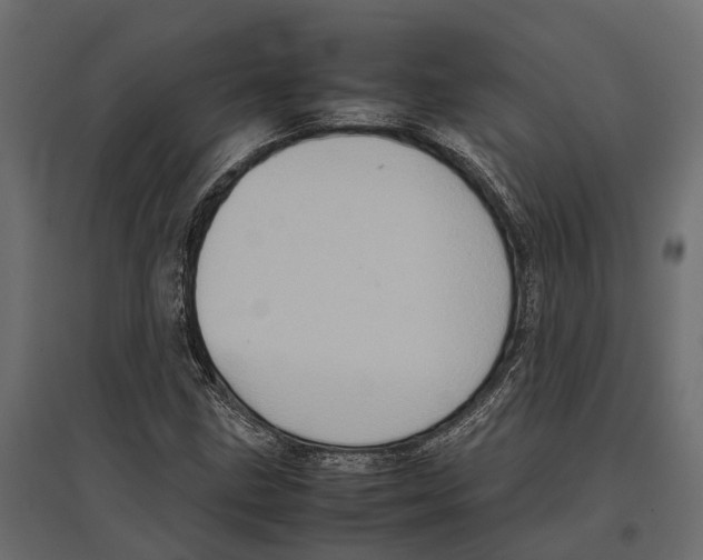 X0000097001211200803071109