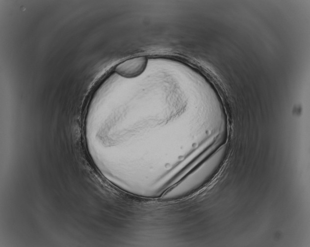 X0000097001212200803071109