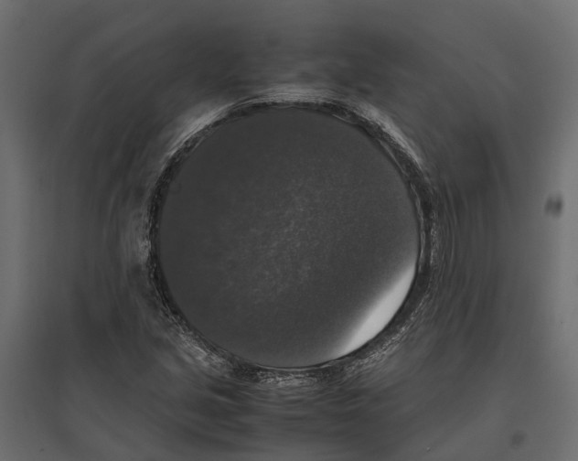 X0000097001213200803071109