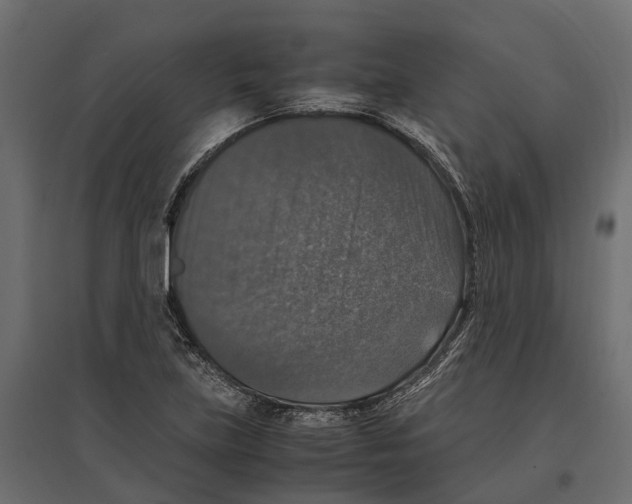 X0000097001219200803071109