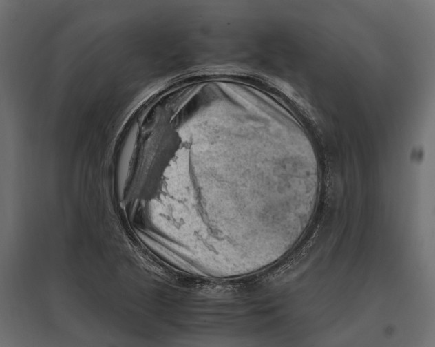 X0000097001221200803071109