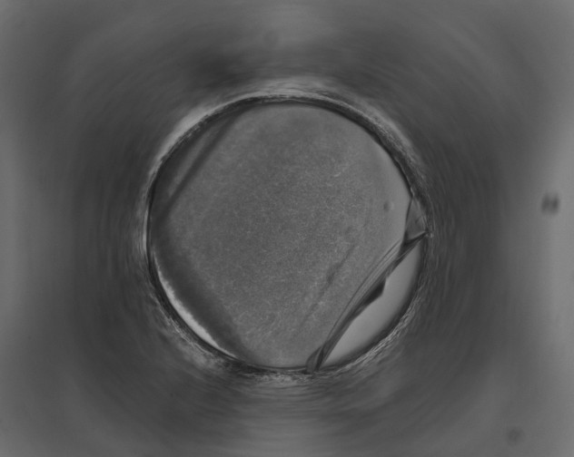 X0000097001224200803071109