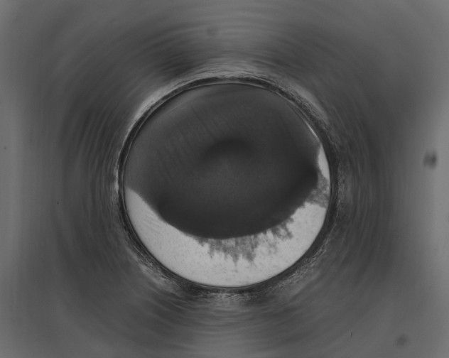 X0000097001226200803071109