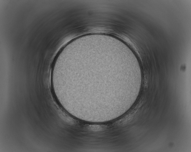 X0000097001227200803071109