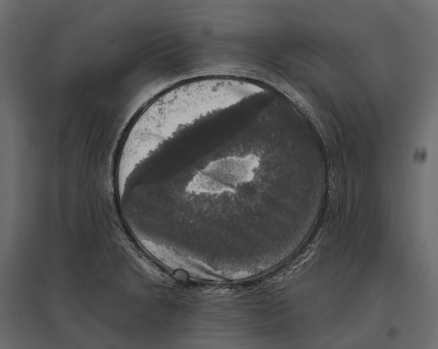 X0000097001230200803071109