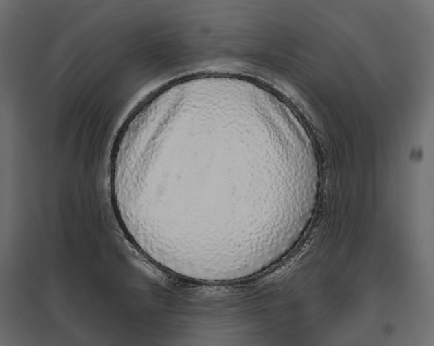 X0000097001232200803071109