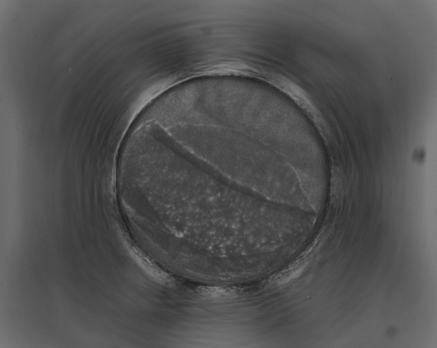 X0000097001234200803071109