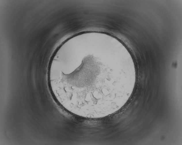 X0000097001237200803071109