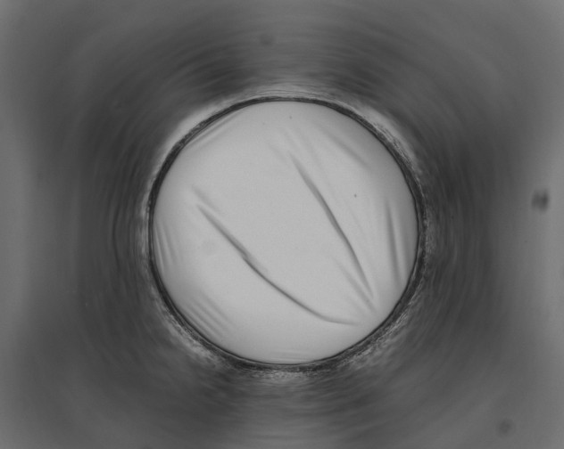 X0000097001238200803071109