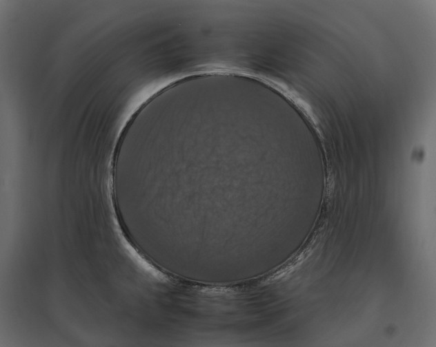 X0000097001239200803071109