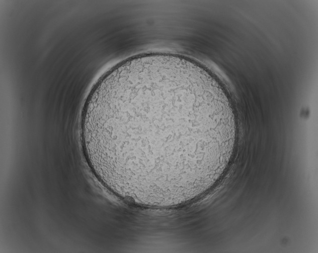 X0000097001240200803071109