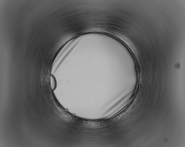 X0000097001241200803071109