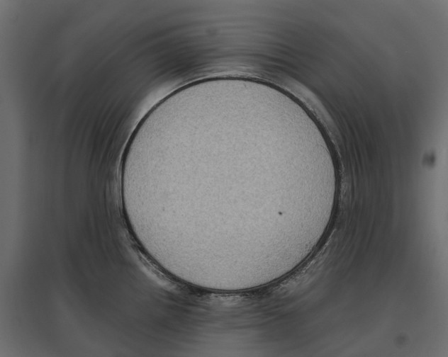 X0000097001242200803071109