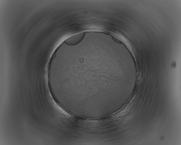 X0000097001243200803071109