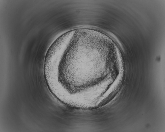 X0000097001244200803071110