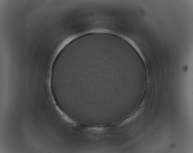 X0000097001245200803071110