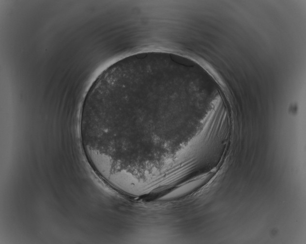 X0000097001246200803071110