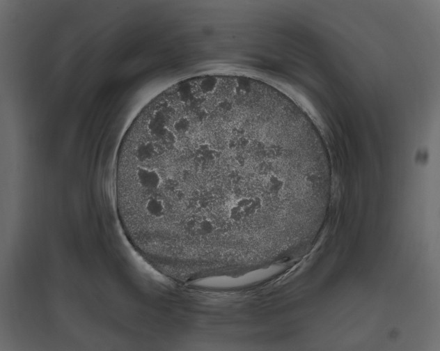 X0000097001247200803071110