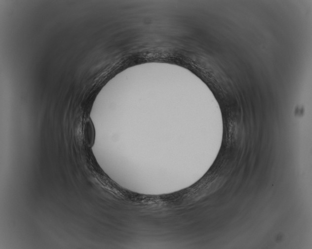 X0000097001250200803071109