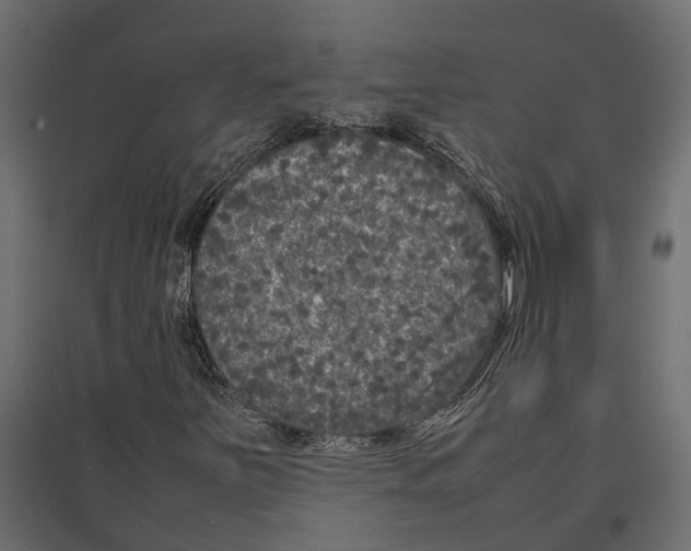 X0000097001251200803071109