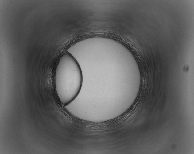 X0000097001252200803071109