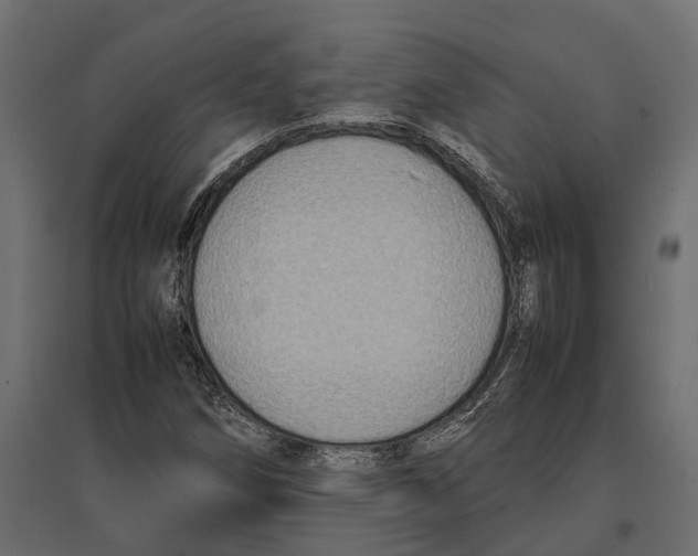 X0000097001258200803071109