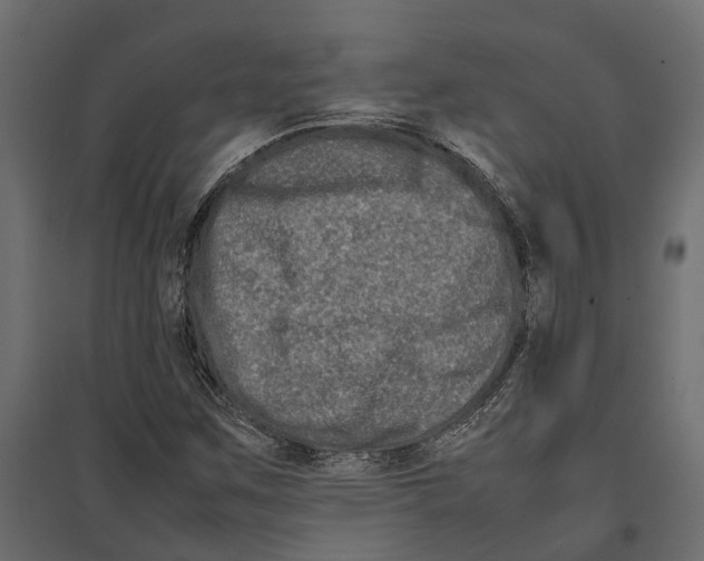 X0000097001259200803071109