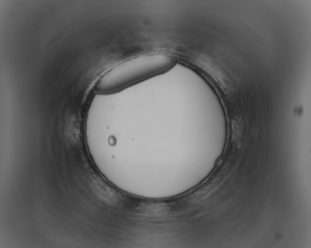 X0000097001260200803071109