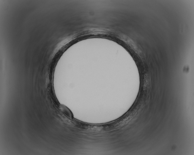 X0000097001261200803071109