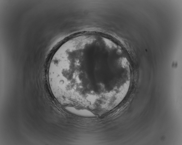 X0000097001263200803071109