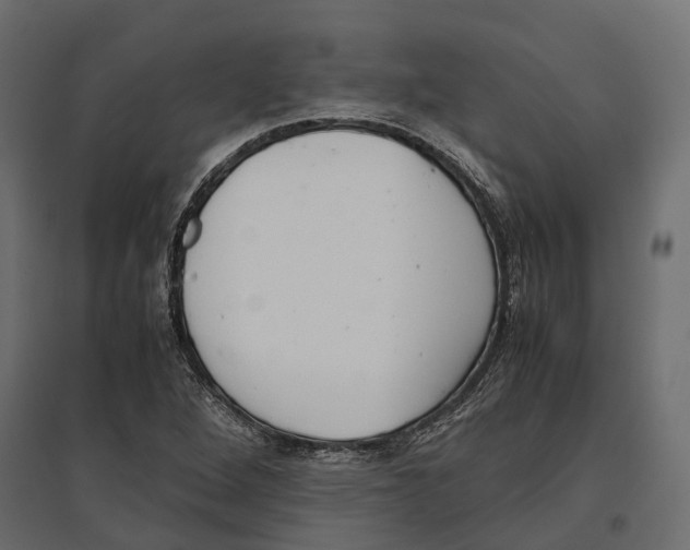 X0000097001264200803071109