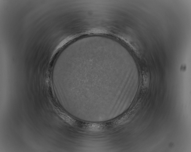 X0000097001266200803071109