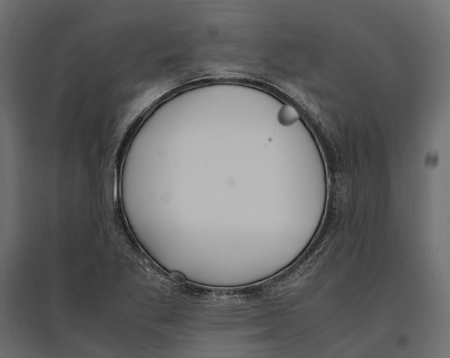 X0000097001269200803071109