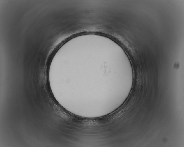 X0000097001270200803071109