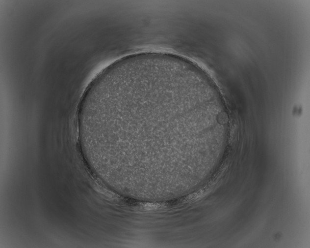 X0000097001271200803071109