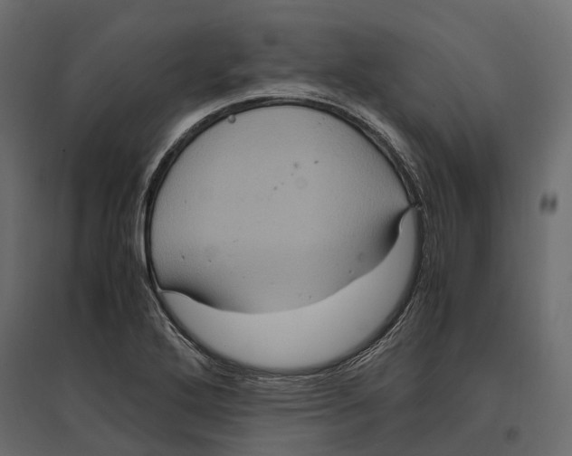 X0000097001272200803071109