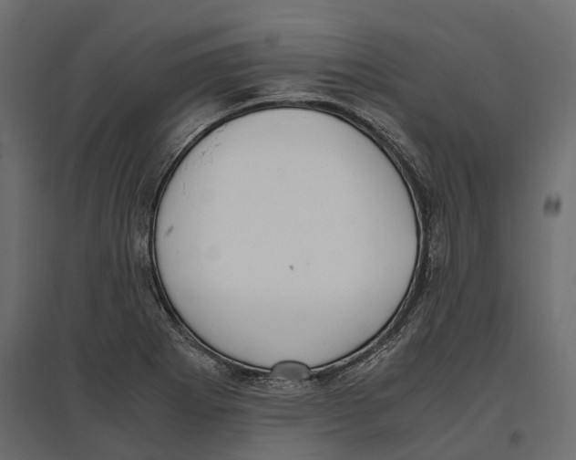 X0000097001273200803071109