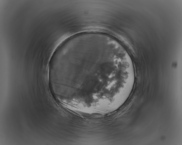 X0000097001275200803071108