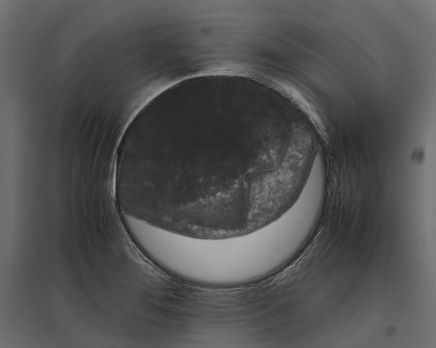 X0000097001276200803071108