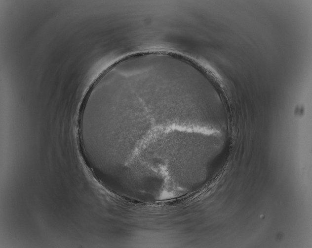 X0000097001279200803071108