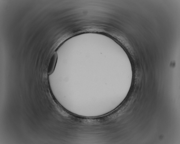 X0000097001281200803071108