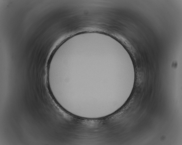 X0000097001286200803071108