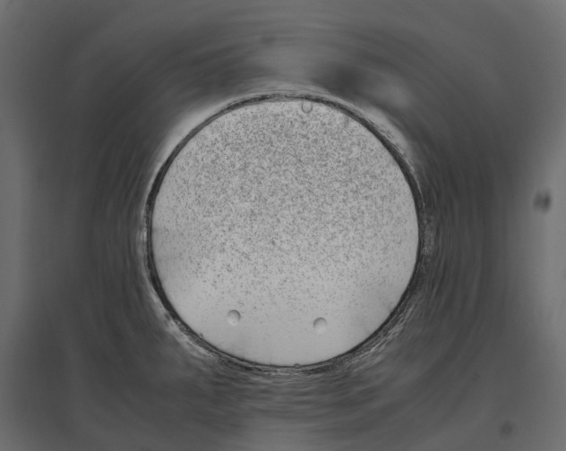 X0000097001287200803071108