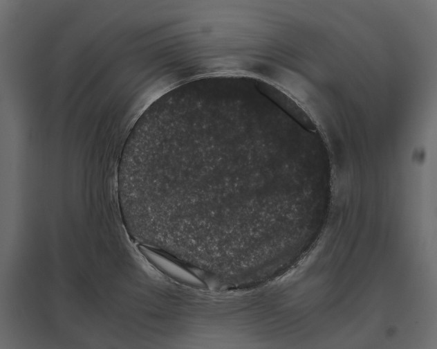 X0000097001289200803071108