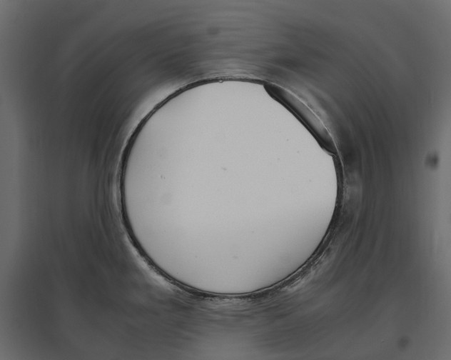 X0000097001293200803071108